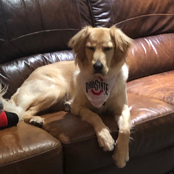 Meet your Posher, Jen - Picture 1 of 1